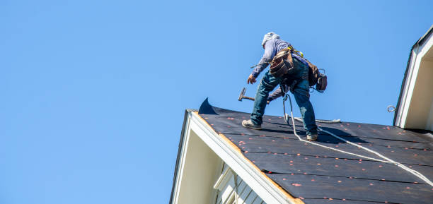 Roof Gutter Cleaning in Linwood, PA